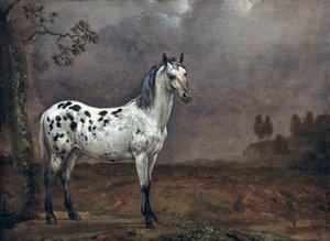 The Piebald Horse