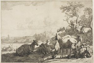 The Shepherd by Paulus Potter