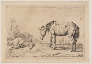The Worn-Out Horse, from Series of Horses by Paulus Potter