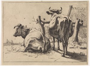 Two Cows Seen from Behind (Het Bullenboekje) by Paulus Potter