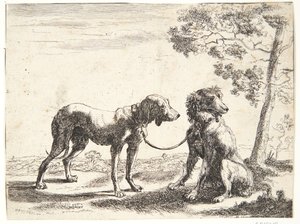 Two Dogs Tied Together by Paulus van Hillegaert (II)