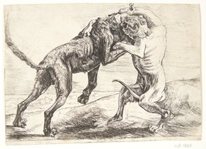 Two Dogs Fighting