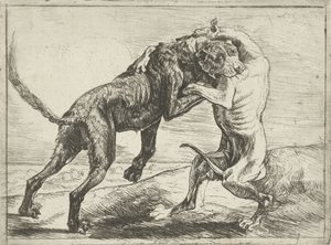 Two Fighting Dogs (Dogs)