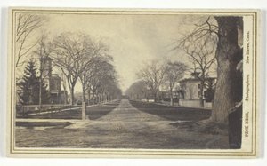 Hillhouse Avenue by Peck Brothers