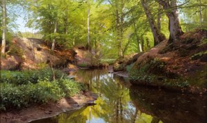 Sunny Day by the Forest Stream