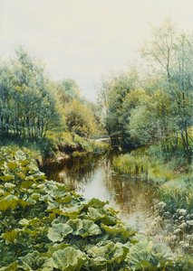 Summerday at the Stream
