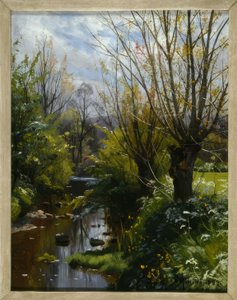 Forest Stream