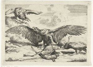Three Eagles Fighting Over a Dead Deer (series title: Diversi uccelli) by Peeter Boel