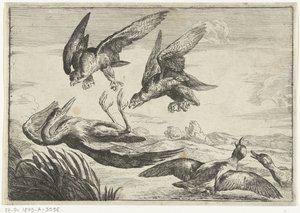 Two Falcons Attacking a Heron by Peeter Boel