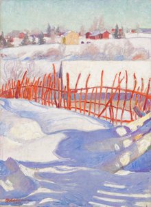 Village in Winter