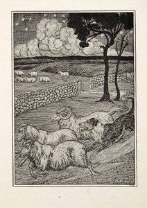 A Canine Sheep Stealer