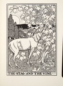 The Stag and the Vine, from Fontaine Fables, pub. 1905 by Percy J. Billingshurst