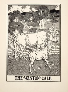 The Wanton Calf, from A Hundred Fables of Aesop