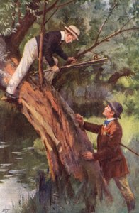 Now, You Come Down This Minute by Percy Tarrant