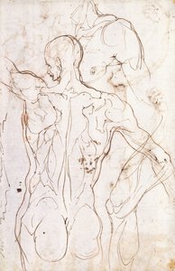 A Nude Seen from Behind, Looking to the Left, and Other Studies of his Left Shoulder and Right Leg by Perino del Vaga
