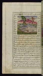 A Heron, a Crab, and a Fish from Lights of Canopus