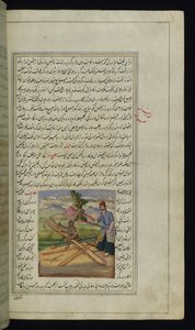A Monkey and a Carpenter from Lights of Canopus