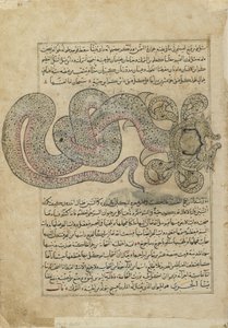 The Sea-Serpent Dragon, Folio from Wonders of Creation by al-Qazvini by Persian School