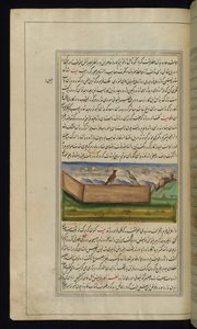 Two pigeons and a supply of grain from Lights of Canopus