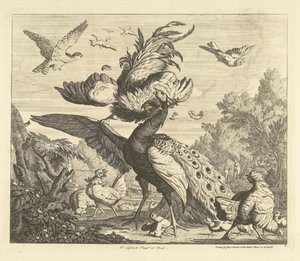 Rooster Attacks a Peacock by Peter Casteels (III)