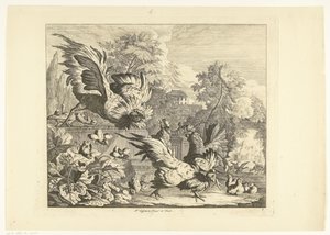 Cockfight by Peter Casteels (III)
