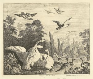 Swans and Ducks in a Bird Pond by Peter Casteels (III)