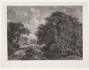 Road through a Village with Tall Trees