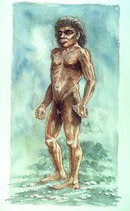 Boxgrove Man, Prehistoric, 1990-2010