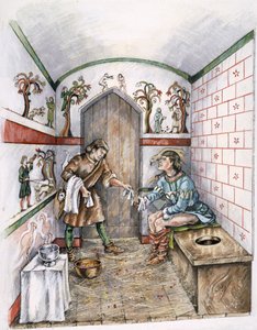Medieval latrine