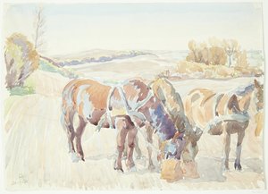 Horses in the Field