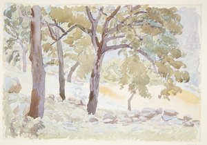 Outskirts of a Forest by Peter Hansen