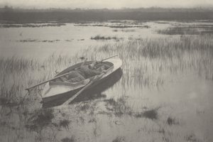 Gunner Working Up to Fowl by Peter Henry Emerson, Thomas Frederick Goodall