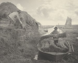 Ricking the Reed, 1886 by Peter Henry Emerson, Thomas Frederick Goodall