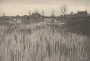 A Rushy Shore by Peter Henry Emerson