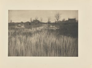 A Rushy Shore by Peter Henry Emerson