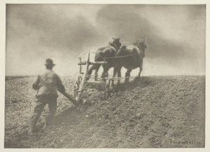 A Stiff Pull, (Suffolk)