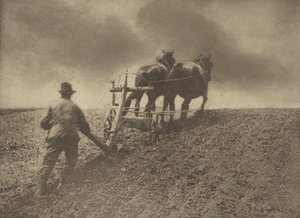 A Stiff Pull. Suffolk.