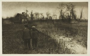 A Toad in the Path: Early Spring in Norfolk