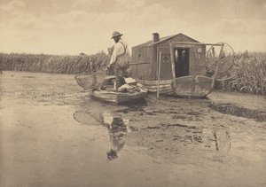 An Eel-Catcher