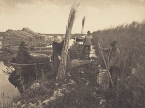 During the Reed-Harvest by Peter Henry Emerson