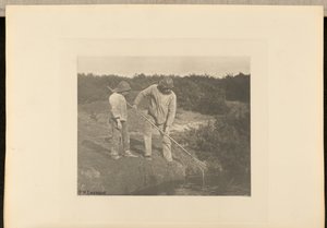 Eel-Picking in Suffolk Waters by Peter Henry Emerson