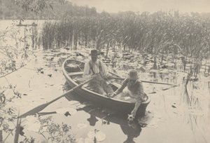 Gathering Water-Lilies