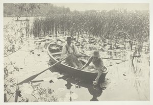 Gathering Water-Lilies