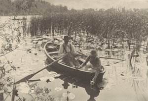 Gathering Water-Lilies