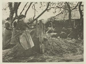 Osier-Peeling (Norfolk)