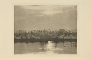 Rime Crystals by Peter Henry Emerson