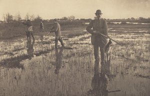 Snipe-Shooting by Peter Henry Emerson
