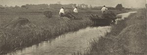 The Sedge Harvest by Peter Henry Emerson