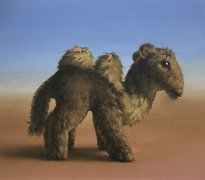 Camel