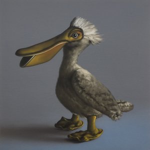 The Pelican